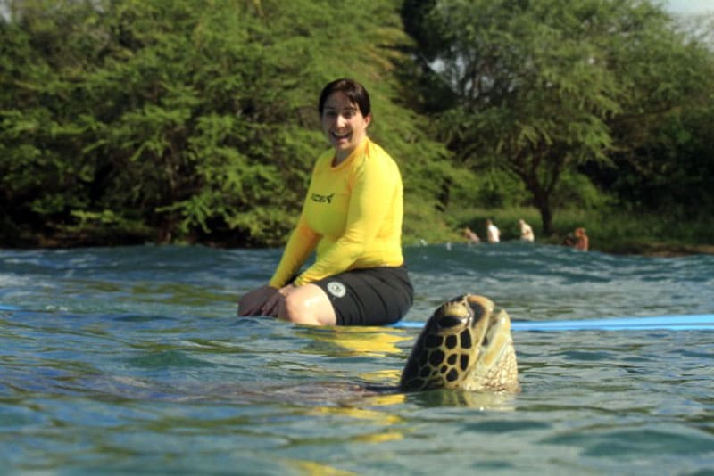 Surf with sea turtles